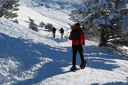 AVENTURA TORRELINO