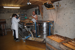 La ruche des puys