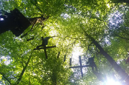 Cap Nature