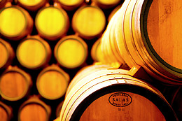 BODEGAS CASTAÑO