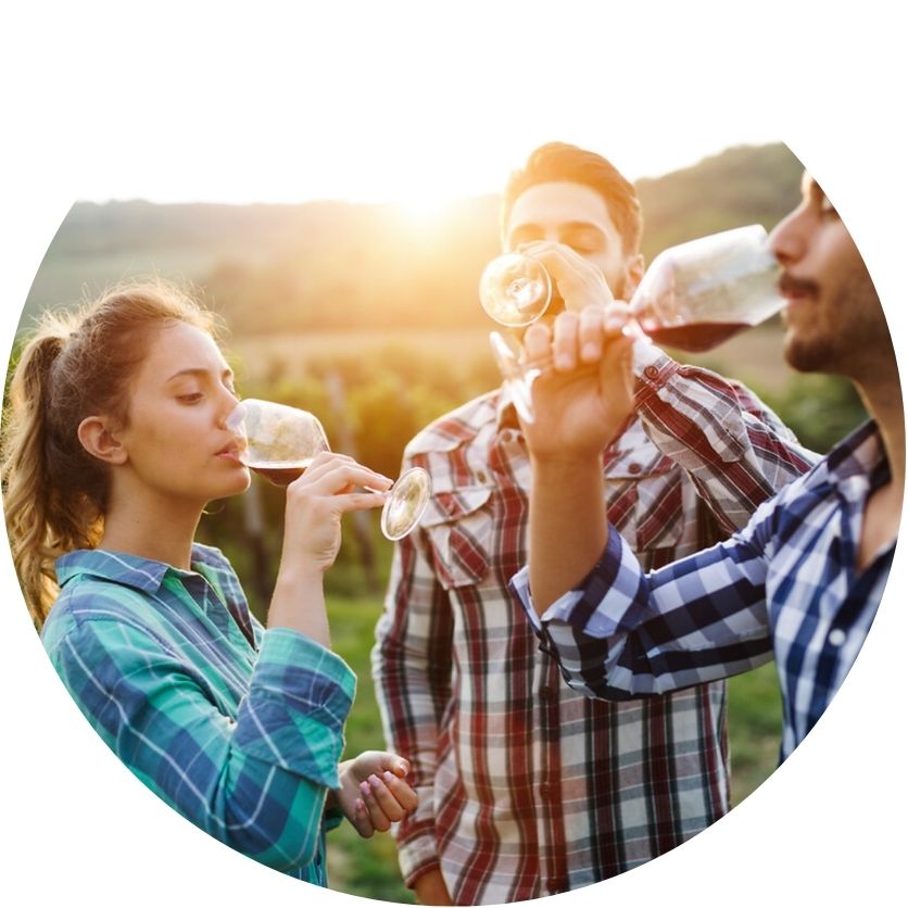 Degustazione di vino