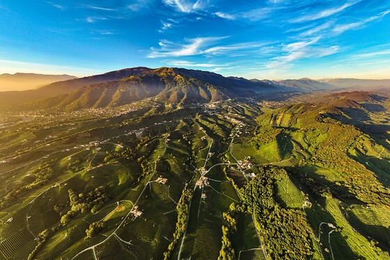 Visita guidata della cantina con degustazione di vini presso PDC Cartizze nelle colline di Valdobbiadene