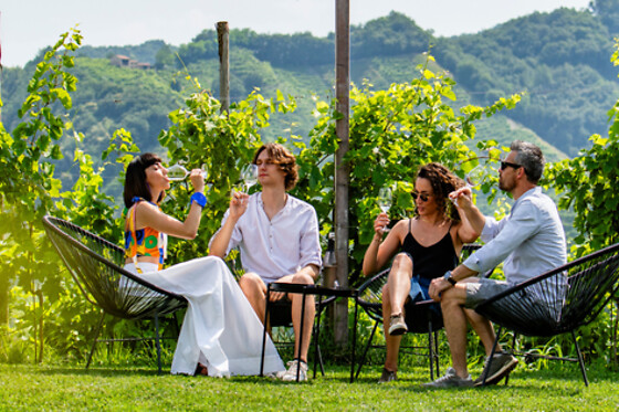 Visita guidata della cantina con degustazione di vini presso PDC Cartizze nelle colline di Valdobbiadene