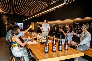 Visita guidata della cantina con degustazione di vini presso PDC Cartizze nelle colline di Valdobbiadene