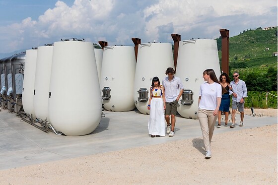 Visita guidata della cantina con degustazione di vini presso PDC Cartizze nelle colline di Valdobbiadene