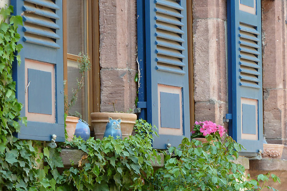 Mickey's House B&B - photo 0