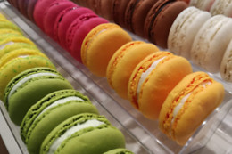 L'Alchimie du Chocolat