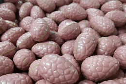 L'Alchimie du Chocolat