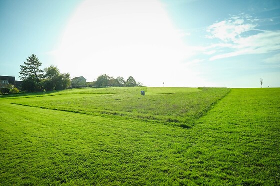 FootGolf Parc Romery - photo 7