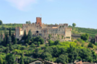 Visita guidata alla cantina con degustazione di vini all'Azienda Agrituristica Montetondo in provincia di Verona