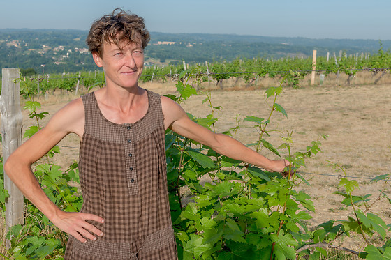 Scea Domaine des Gabies - photo 4