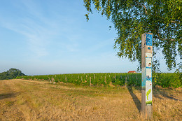 Scea Domaine des Gabies