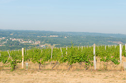 Scea Domaine des Gabies