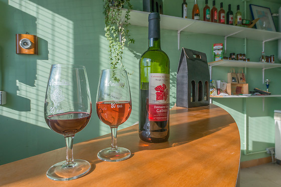Scea Domaine des Gabies - photo 0