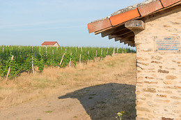 Scea Domaine des Gabies