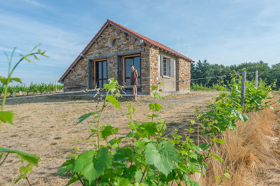 Scea Domaine des Gabies - photo 13