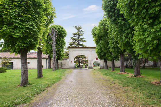 Domaine des Tonneaux - photo 3