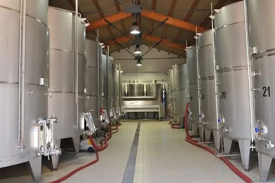 Tenute Marchesi di  Rampingallo - photo 1