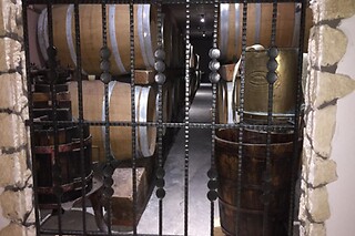 Visita alla cantina con degustazione di vini e due bottiglie in omaggio presso Cantina Fratelli Vogadori nel cuore della Valpolicella