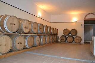 Visita alla cantina con degustazione di vini e due bottiglie in omaggio presso Cantina Fratelli Vogadori nel cuore della Valpolicella
