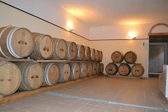 Cantina Fratelli Vogadori - photo 0