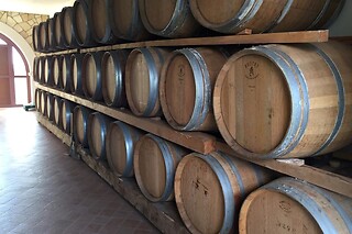 Visita alla cantina con degustazione di vini e due bottiglie in omaggio presso Cantina Fratelli Vogadori nel cuore della Valpolicella