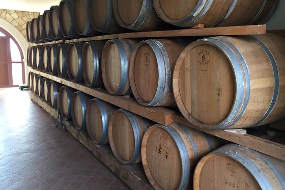 Cantina Fratelli Vogadori - photo 1