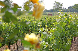 Domaine de Carcenac