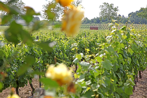 Domaine de Carcenac - photo 3