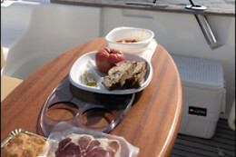FLYING FISH TOURS