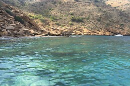 FLYING FISH TOURS