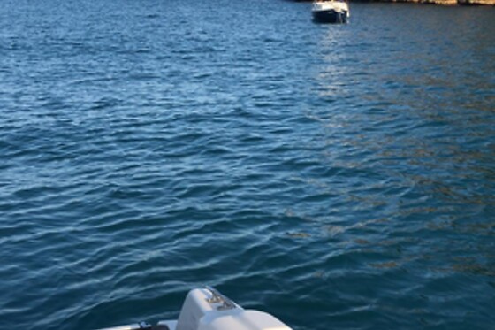 FLYING FISH TOURS - photo 8