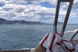 FLYING FISH TOURS
