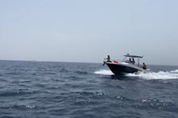 FLYING FISH TOURS