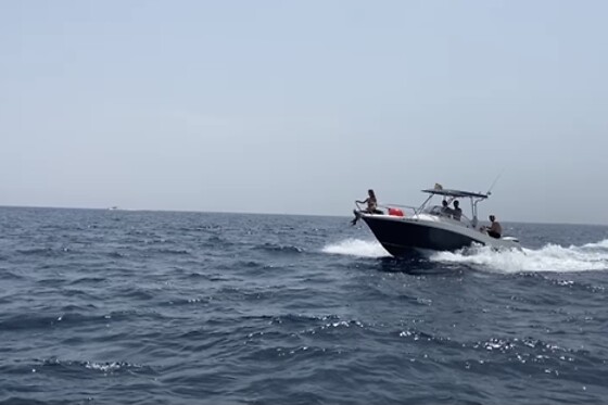 FLYING FISH TOURS - photo 10