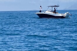 FLYING FISH TOURS