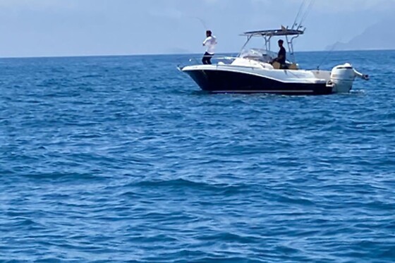 FLYING FISH TOURS - photo 12