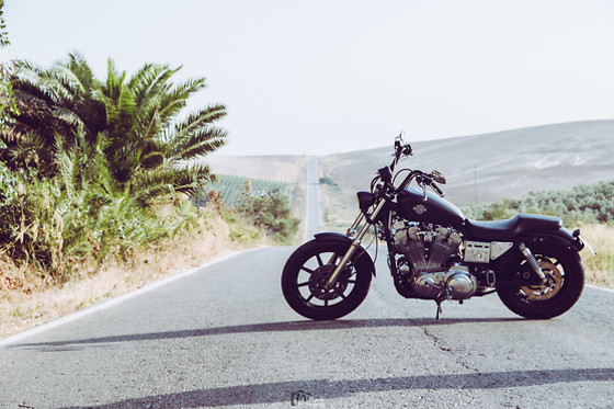 CADIZ EN HARLEY - photo 2