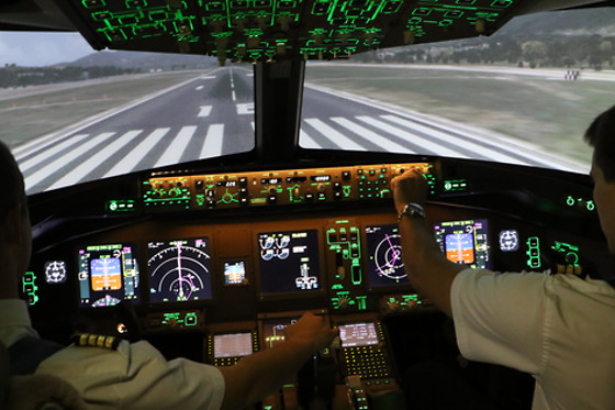 Skyway simulation - photo 5