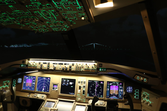 Skyway simulation - photo 6