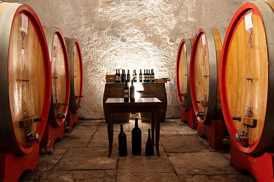 Antica Enotria - photo 1