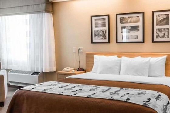 Online Booking EPS - photo 0