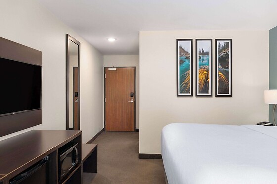 Online Booking EPS - photo 2