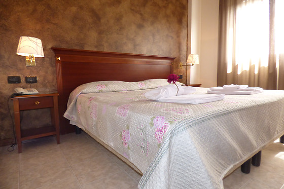 Hotel Fidenza - photo 2