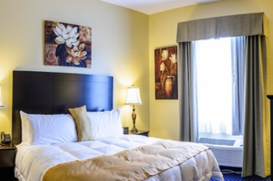 Online Booking EPS - photo 0