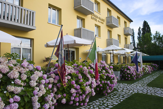 Viktoria Palace Hotel - photo 10