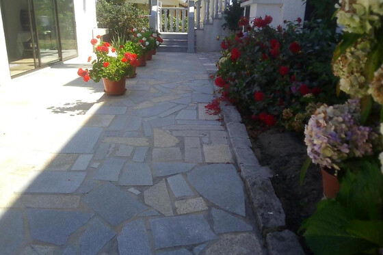 PINHEIRINHOS- QUINTA DE SÃO CAETANO - photo 9