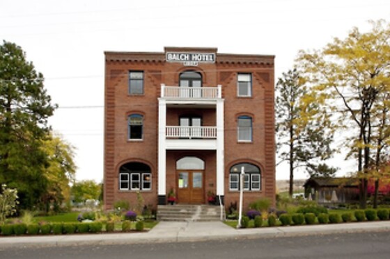 Online Booking EPS - photo 0