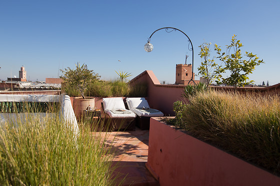Riad l'Orangeraie - photo 4