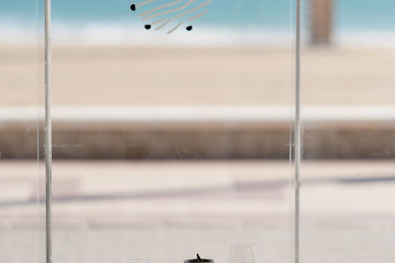 RESTAURANTE BREL - photo 17